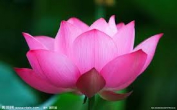 Khi nào mới có thể thọ giới Bồ tát?